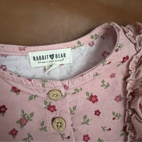 Rabbit Bear Girl Toddler 2T Organic Cotton Dress Floral Dusty Rose Long Sleeve - Picture 3 of 4